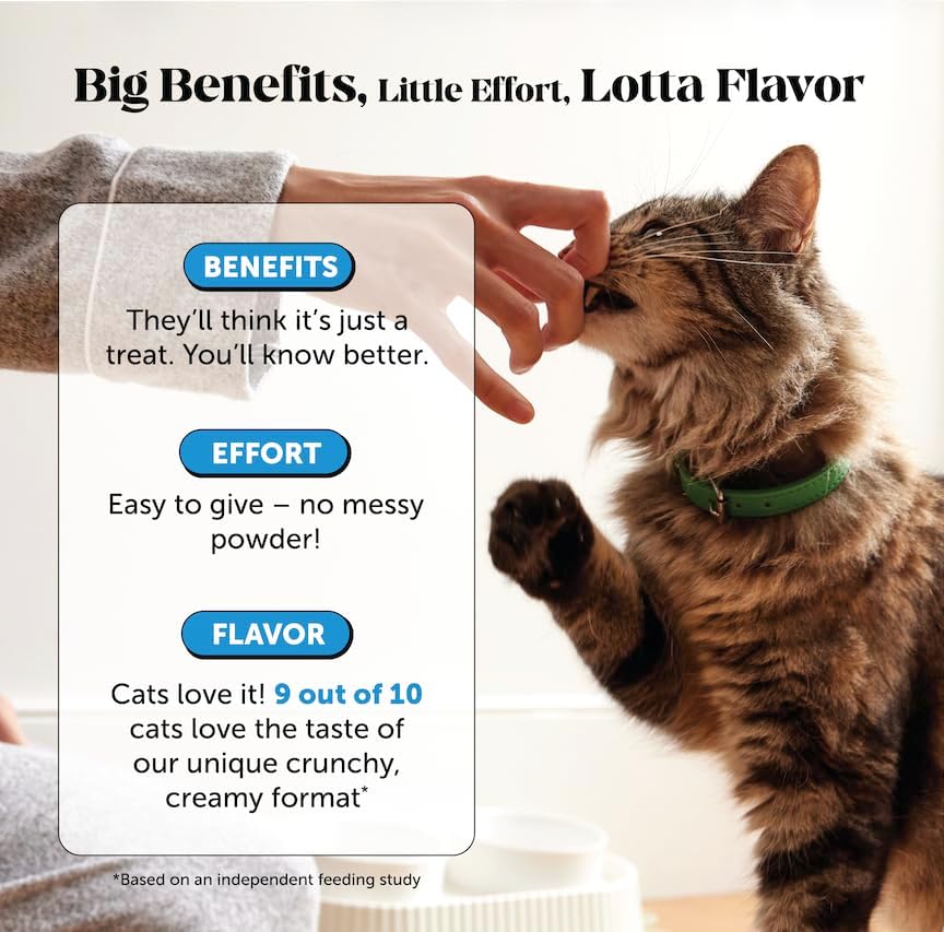 Pet Honesty Vet Backed Skin & Coat Cat Vitamins, Chicken, 90-Day Supply - Image 4