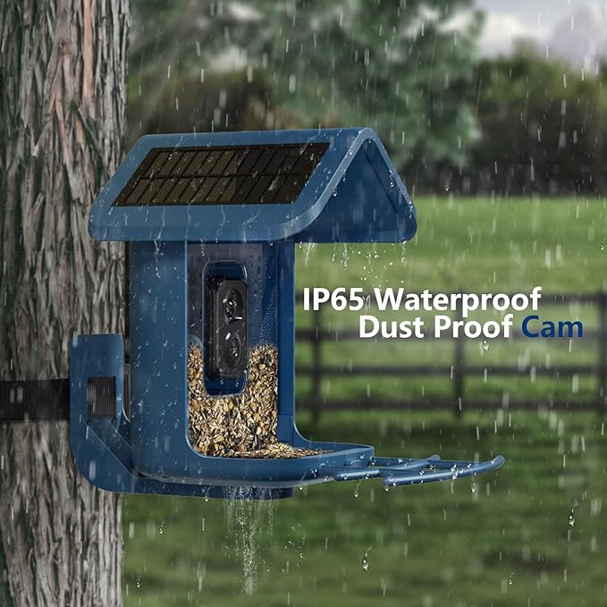 Bird Feeder with Camera Solar Powered : Smart Camera Bird Feeder 2K Live Feed Cam for Outdoor Backyard - Ai Identify Auto Capture Videos Pictures, Gifts for Birdlover Mom Dad, 2.4GHz WiFi - Image 5
