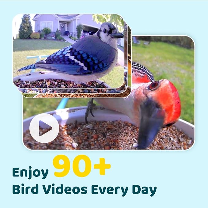 NETVUE by Birdfy Smart Bird Feeder with Camera – AI Identifies Birds Species 2MP Night Vision & App Alerts, 2.4Ghz Wi-Fi Connect IP65 Weatherproof Bird Camera-Gift for Backyard BirdWatchers, Blue - Image 3