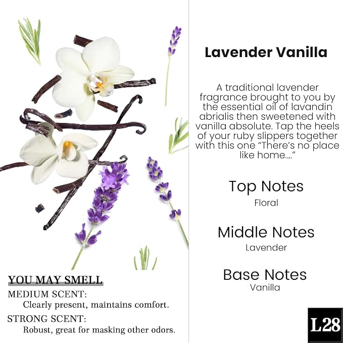 HoogaLife Car Air Freshener Diffuser 2 Pack Hanging Air Freshener Diffuser -Lavender Vanilla Fragrance Oil Air D iffuser for Car, 45+ days Long Lasting Fragrance Made in USA C ar Air Fresheners (L28) - Image 2