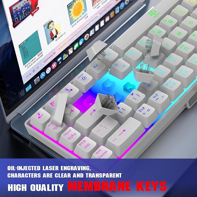 Snpurdiri 60% Percent Gaming Keyboard (68 Keys, White) | Compact RGB Backlit Ergonomic Small Mini Keyboard for Windows, PC, Laptop, Gaming - Image 4