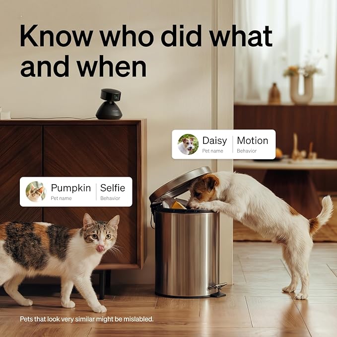 PETLIBRO Dog Camera with Phone App, 360° Auto Tracking Pet Camera Indoor with Phone App for Home Alone Pets, Cat & Puppy Camera with 2-Way Audio, Night Vision, Indoor Camera WiFi - Image 2