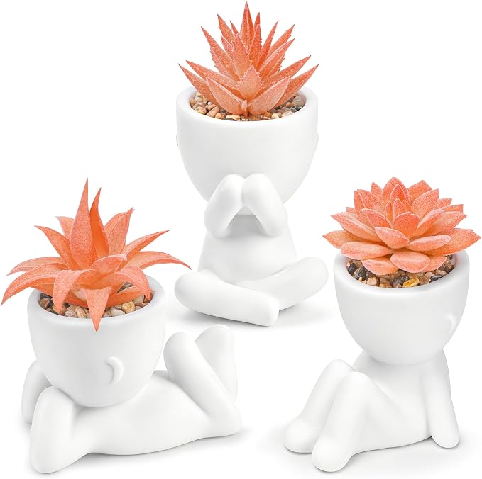 Der Rose Set of 3 Fall Artificial Succulent Plants, Small Fake Plants in Cute Pots, Autumn Room Decor for Bathroom, Bedroom, Office Desk, Shelf by DerRose