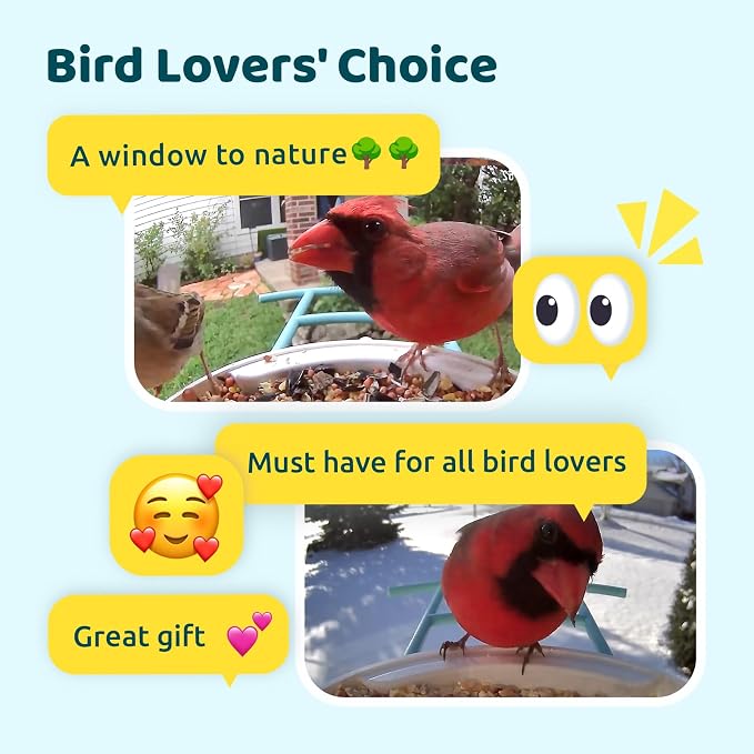 NETVUE by Birdfy AI Smart Bird Feeder with Camera, AI Auto Capture Each Bird Visit & Identify 6000+ Species, Cloud Store & Live Birdwatching, Ideal Gift (Yellow) - Image 9