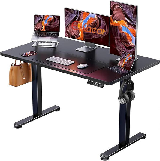 ErGear 48 X 24 Inch Height Adjustable Electric Standing Desk, Black | Smooth Height Adjustment, 4 Memory Presets, One-Touch Control, Stable Steel Frame, 176 lbs Capacity, Easy Assembly by ErGear