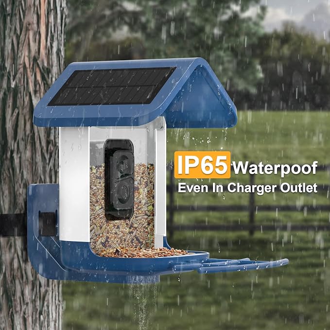 Bird Feeder with Camera Solar Powered : Smart Camera Bird Feeder 2K Live Feed Cam for Outdoor Backyard - Ai Identify Auto Capture Videos Pictures, Gifts for Birdlover Mom Dad, 2.6GHz WiFi - Image 4