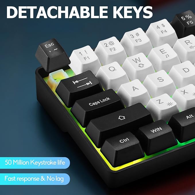 Guiheng Wired Portable 60% Mechanical Gaming Keyboard,RGB LED Backlit Compact 68 Keys Mini Wired Office Keyboard with Red Switch for Windows Laptop PC Mac - White - Image 3