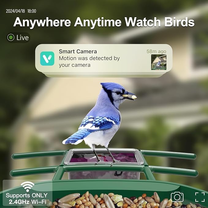 Bird Feeder with Camera Solar Powered : Smart Camera Bird Feeder 2K Live Feed Cam for Backyard - AI Identify Auto Capture Videos Pictures, Gifts for Birdlover Mom Dad, 2.4GHz WiFi - Image 2