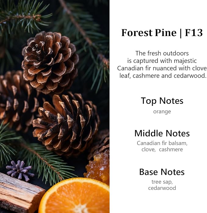 HoogaLife Car Air Freshener Diffuser 2 Pack Hanging Air Freshener Diffuser - Forest Pine Fragrance Oil Air D iffuser for Car, 45+ Days Long Lasting Fragrance Made in USA (F13) - Image 2