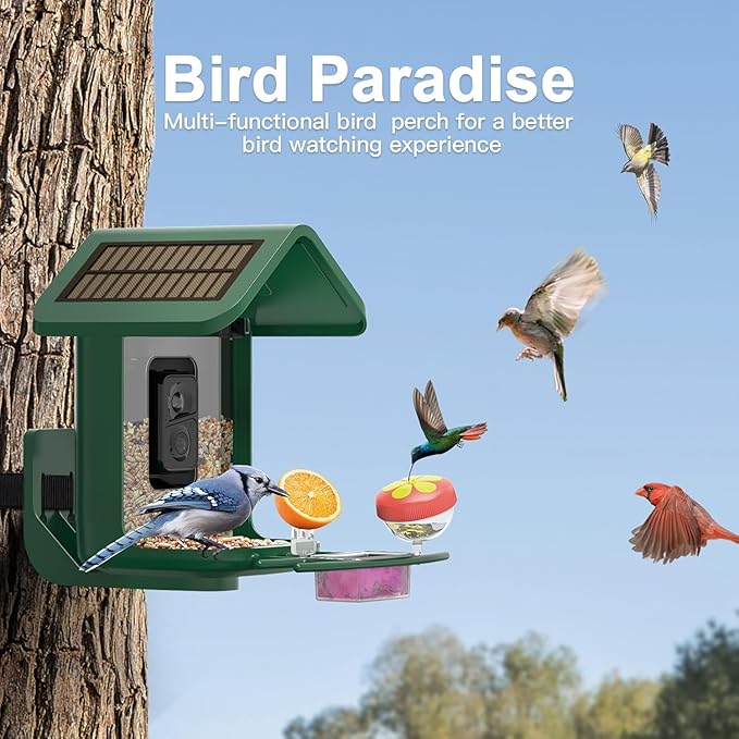 Bird Feeder with Camera Solar Powered : Smart Camera Bird Feeder 2K Live Feed Cam for Backyard - AI Identify Auto Capture Videos Pictures, Gifts for Birdlover Mom Dad, 2.4GHz WiFi - Image 6