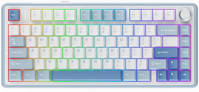 EPOMAKER x Aula F75 Gasket Mechanical Keyboard, 75% Wireless Hot Swappable Gaming Keyboard with Five-Layer Padding&Knob, BT/2.4GHz/USB-C, RGB (Sea Salt Blue, LEOBOG Reaper Switch) by EPOMAKER
