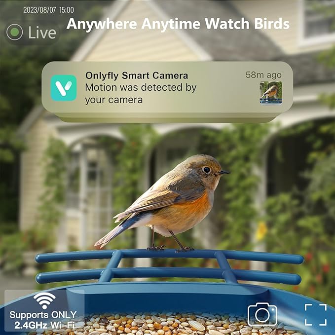 Bird Feeder with Camera Solar Powered : Smart Camera Bird Feeder 2K Live Feed Cam for Outdoor Backyard - Ai Identify Auto Capture Videos Pictures, Gifts for Birdlover Mom Dad, 2.4GHz WiFi - Image 2