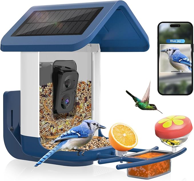 Bird Feeder with Camera Solar Powered : Smart Camera Bird Feeder 2K Live Feed Cam for Outdoor Backyard - Ai Identify Auto Capture Videos Pictures, Gifts for Birdlover Mom Dad, 2.6GHz WiFi by Onlyfly