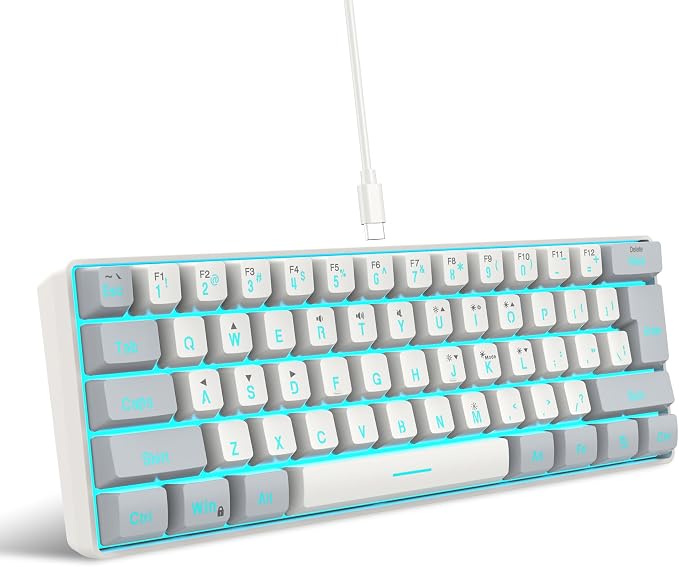 Snpurdiri 60% Wired Gaming Keyboard, 61 Keys RGB (Grey-White) | Backlit Small Gaming Keyboard for PC/Mac Gamer, Typist, Travel, Easy to Carry on Business Trip by Snpurdiri