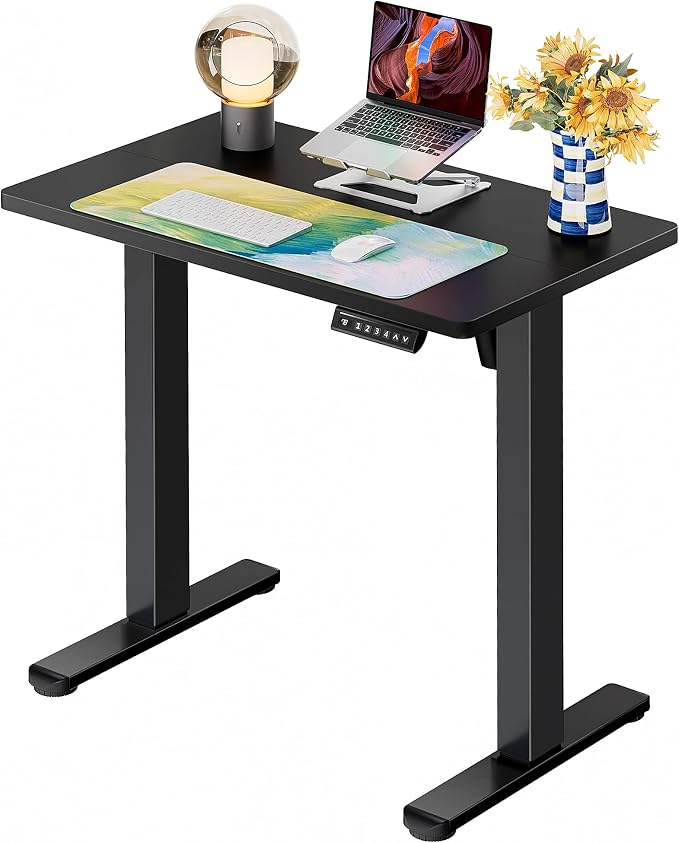 ErGear 31 X 19 Inch Height Adjustable Electric Standing Desk, Black | Smooth Height Adjustment, 4 Memory Presets, One-Touch Control, Stable Steel Frame, 176 lbs Capacity, Easy Assembly by ErGear
