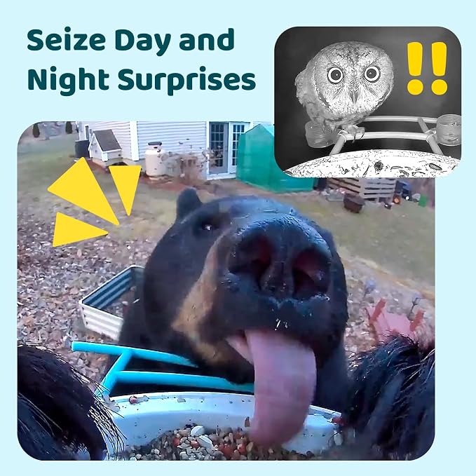 NETVUE by Birdfy Smart Bird Feeder with Camera – AI Identifies Birds Species 2MP Night Vision & App Alerts, 2.4Ghz Wi-Fi Connect IP65 Weatherproof Bird Camera-Gift for Backyard BirdWatchers, Blue - Image 9