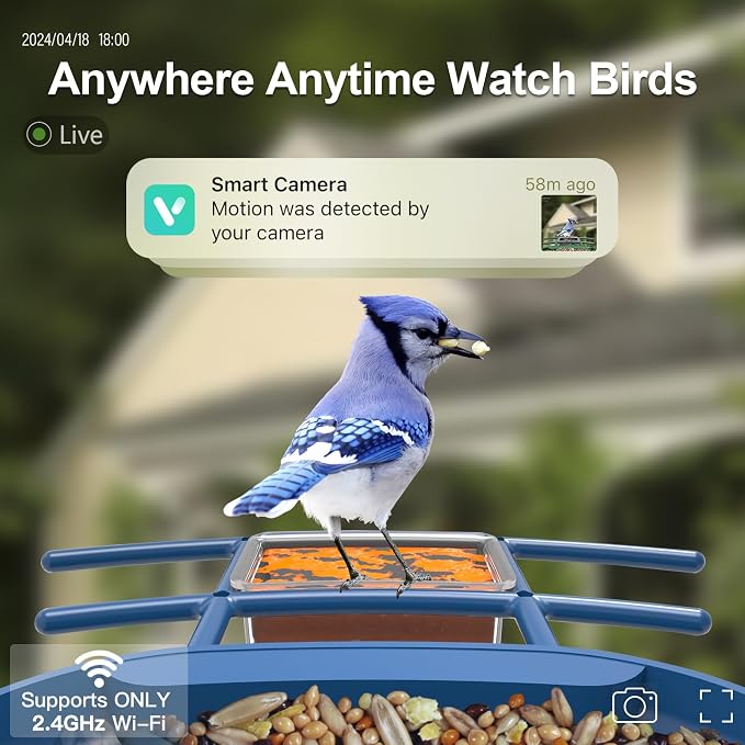 Bird Feeder with Camera Solar Powered : Smart Camera Bird Feeder 2K Live Feed Cam for Outdoor Backyard - Ai Identify Auto Capture Videos Pictures, Gifts for Birdlover Mom Dad, 2.6GHz WiFi - Image 2