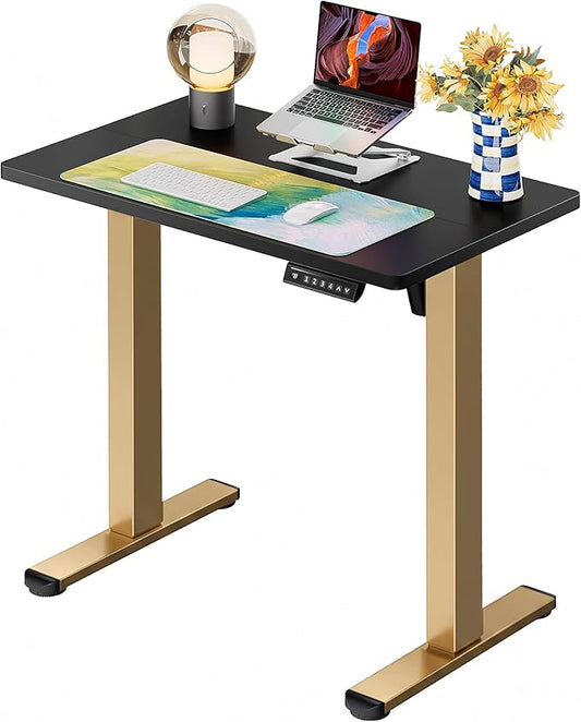 ErGear Height Adjustable Electric Standing Desk, 32 x 19 Inches Sit Stand up Desk, Memory Computer Home Office Desk, Black+Gold by ErGear