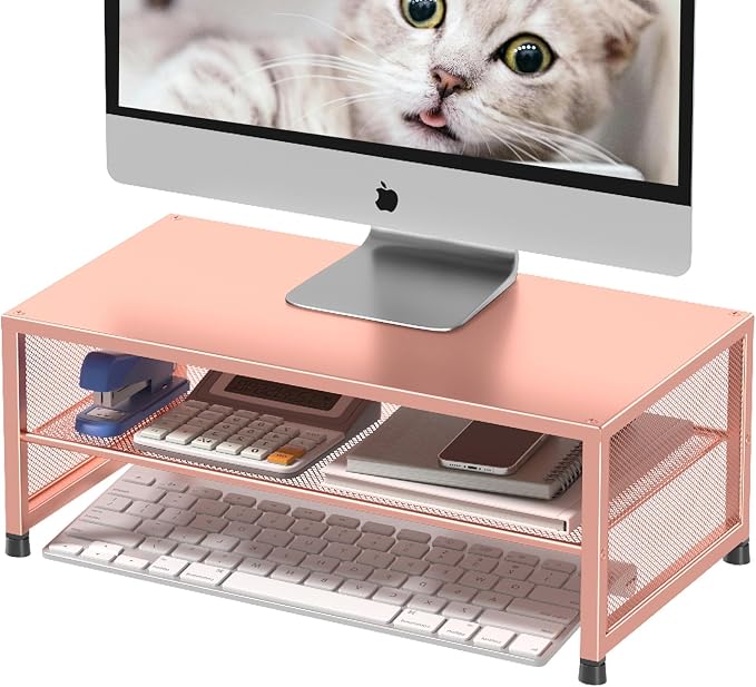 ECOLOVI 2-Tier Computer Monitor Stand Riser, Desk Organizer for Monitor, Printer & Laptop Stand, Desktop Workspace Organizers for Office Supplies(Rose Gold) - Image 8