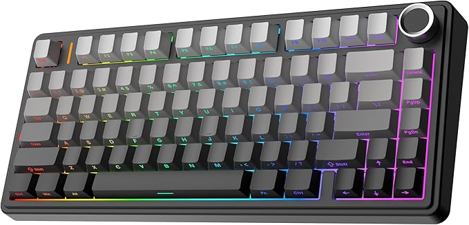 EPOMAKER x Aula F75 Gasket Mechanical Keyboard, 75% Wireless Hot Swappable Gaming Keyboard with Five-Layer Padding&Knob, BT/2.4GHz/USB-C, RGB (Black Gradient, LEOBOG Reaper Switch) by EPOMAKER