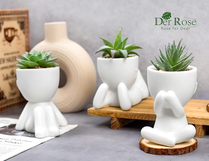 Der Rose 3pcs Fake Succulents Plants Artificial for Bathroom Bedroom Home Room Decor Aesthetic Indoor - Image 4