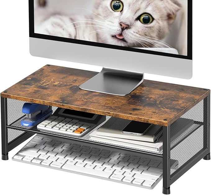 ECOLOVI 2-Tier Computer Monitor Stand Riser, Desk Organizer for Monitor, Printer & Laptop Stand, Desktop Workspace Organizers for Office Supplies(Brown) by ECOLOVI