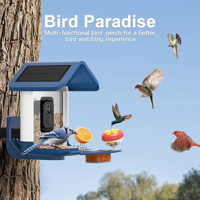 Bird Feeder with Camera Solar Powered : Smart Camera Bird Feeder 2K Live Feed Cam for Outdoor Backyard - Ai Identify Auto Capture Videos Pictures, Gifts for Birdlover Mom Dad, 2.6GHz WiFi - Image 6