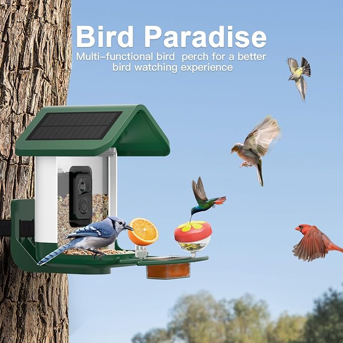 Bird Feeder with Camera Solar Powered : Smart Camera Bird Feeder 2K Live Feed Cam for Outdoor Backyard - Ai Identify Auto Capture Videos Pictures, Gifts for Birdlover Mom Dad, 2.4GHz WiFi - Image 6
