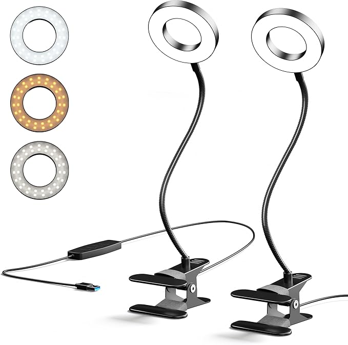 2 Pack LED Clip on Desk Lamp, Metal 360 Adjustable Neck | Eye-Caring Clamp Lamp, Memory Function, 3 Color Modes & 10 Brightness Levels, For Home, Office, Dorm, Bedroom by GARMESE