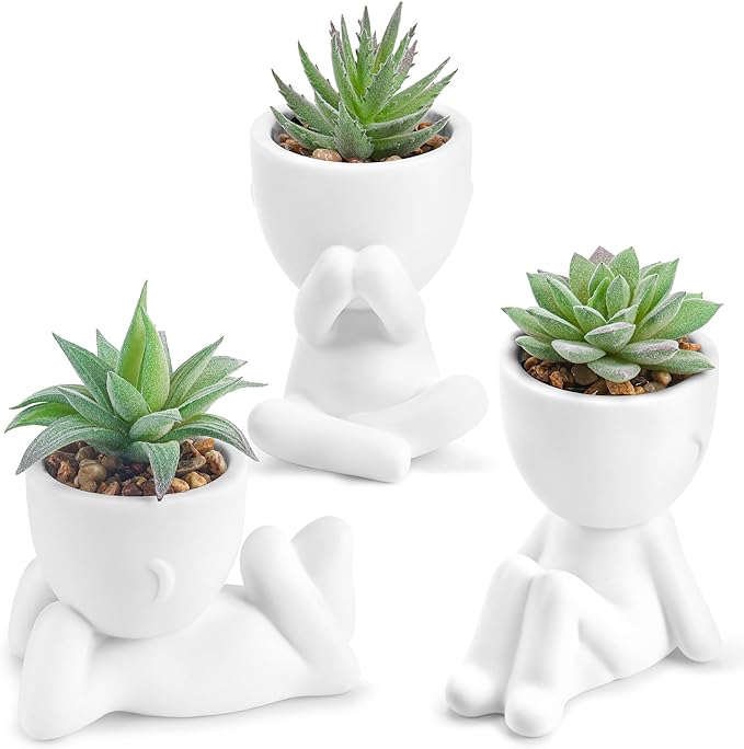 Der Rose 3pcs Fake Succulents Plants Artificial for Bathroom Bedroom Home Room Decor Aesthetic Indoor by DerRose