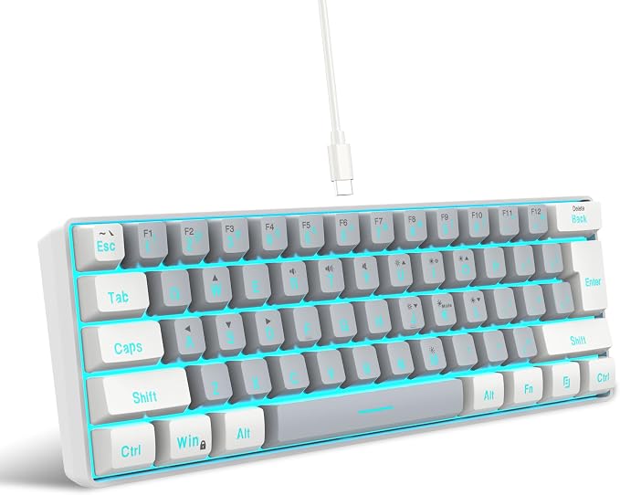 Snpurdiri 60% Wired Gaming Keyboard, 61 Keys RGB (White-Grey) | Small Ultra-Compact Backlit 60 Percent Gaming Keyboard for PC/Mac Gamer, Typist, Travel, Easy to Carry on Business Trip by Snpurdiri