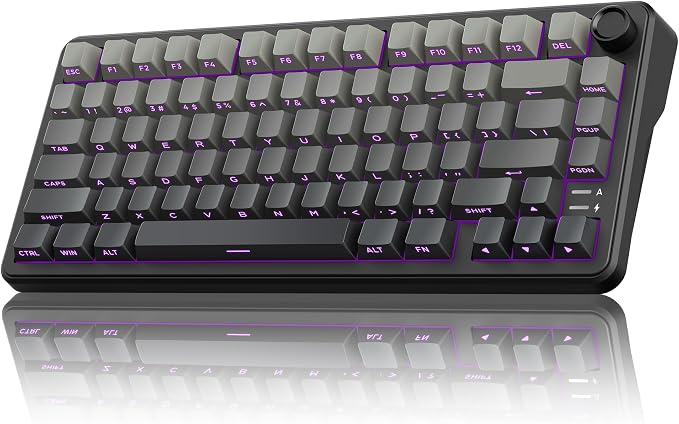 RedThunder K75 Wireless Mechanical Gaming Keyboard, 75% Hot Swappable Creamy Keyboard with Knob, RGB Backlit, Pre-lubed Linear Switches, Side Engraved PBT Keycaps, Wireless/Wired/BT5.0, Gradient Gray by RedThunder