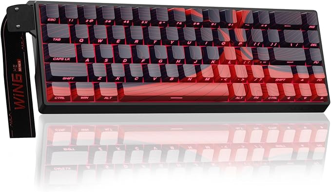 AULA WIN68 HE MAX - Hall Effect Gaming Keyboard with Magnetic Switch, Adjustable Actuation Fast Trigger Mode, 8KHz Polling Rate, RGB Backlit Wired Mechanical Gaming Keyboard 60 Percent Compact Design by AULA