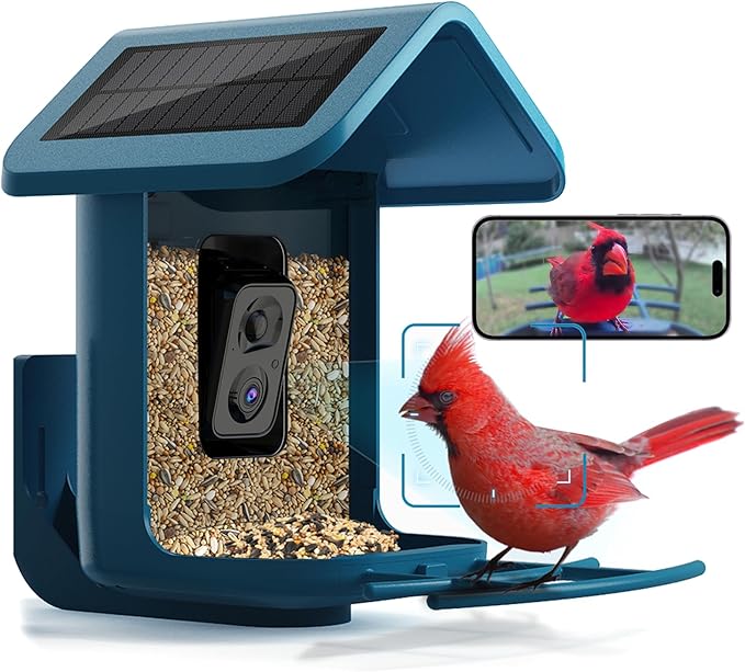 Bird Feeder with Camera Solar Powered : Smart Camera Bird Feeder 2K Live Feed Cam for Outdoor Backyard - Ai Identify Auto Capture Videos Pictures, Gifts for Birdlover Mom Dad, 2.4GHz WiFi by Onlyfly