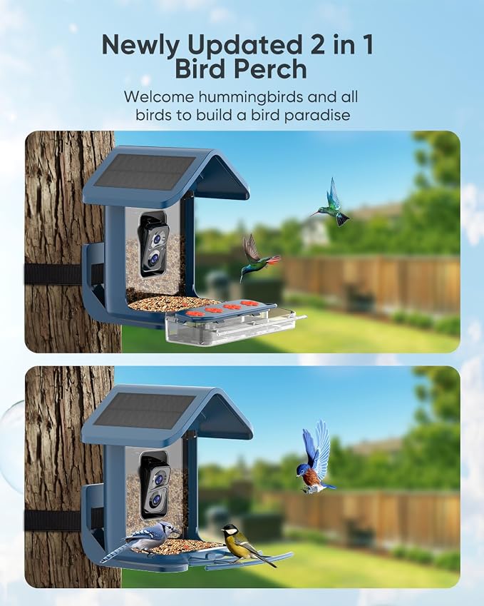 Bird Feeder with Camera Solar Powered : Smart Camera Bird Feeder 2K Live Feed Cam for Outdoor Backyard - Ai Identify Auto Capture Videos Pictures, Gifts for Birdlover Mom Dad, 2.5GHz WiFi - Image 5