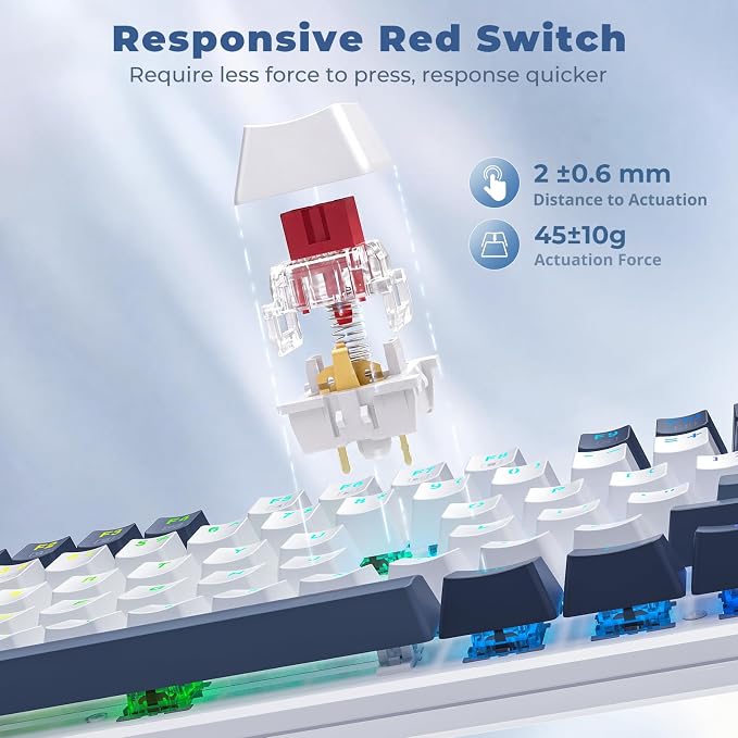 Redragon Mechanical Gaming Keyboard Wired, 11 Programmable Backlit Modes, Hot-Swappable Red Switch, Anti-Ghosting, Double-Shot PBT Keycaps, Light Up Keyboard for PC Mac, Blue - Image 4