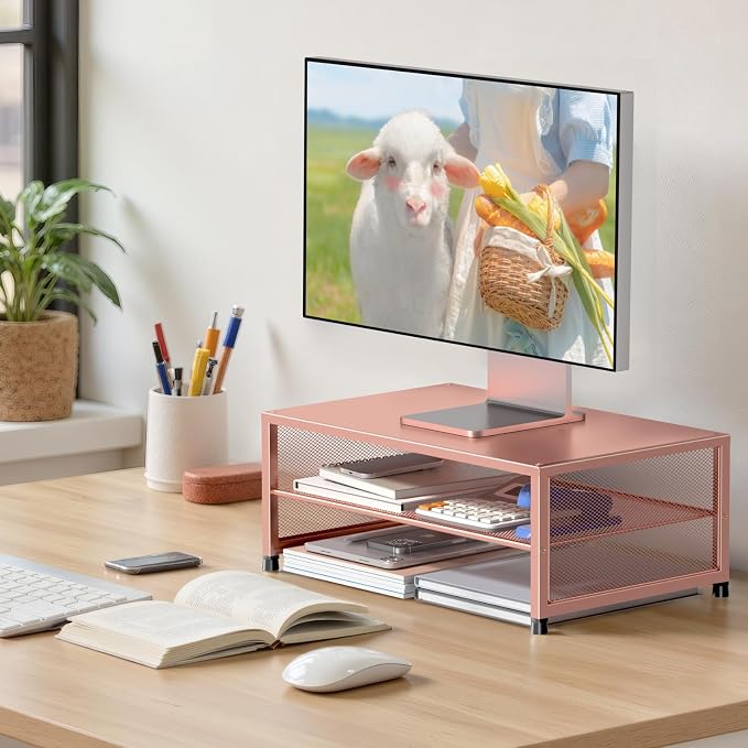 ECOLOVI 2-Tier Computer Monitor Stand Riser, Desk Organizer for Monitor, Printer & Laptop Stand, Desktop Workspace Organizers for Office Supplies(Rose Gold) - Image 2