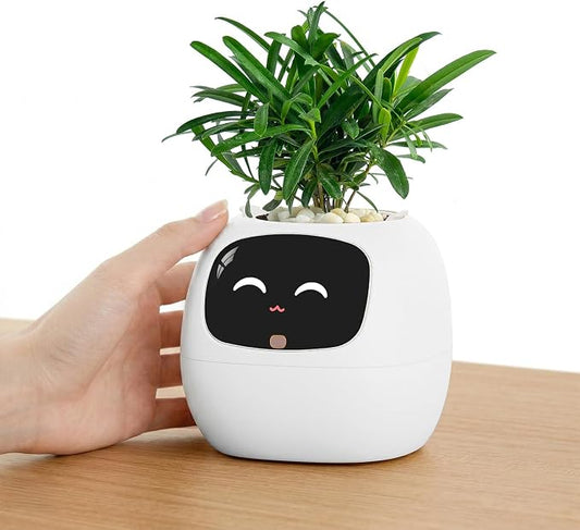 PLANTSIO Ivy Interactive AI Desk Companion, Smart Plant Pet with 100+ Expressions, Cute Indoor Planter for Office Decor, Unique Gift for Plant Lovers & Coworkers(Ivory) by PlantsIO