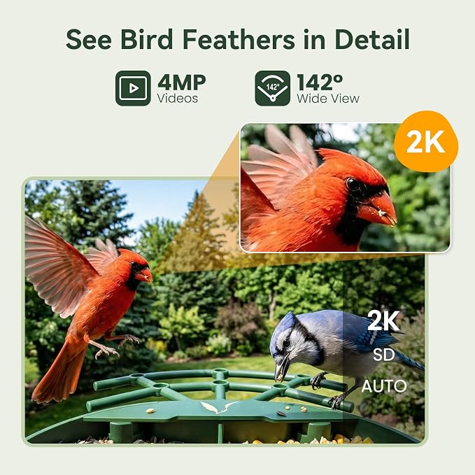 Smart Bird Feeder with Camera, AI Identify Birds Species, 2K HD Color Night Vision, IP65 Waterproof Solar Powered Bird Feeder with 142° Wide Angle, Auto Capture & Real-Time Notifications, Ideal Gift - Image 3