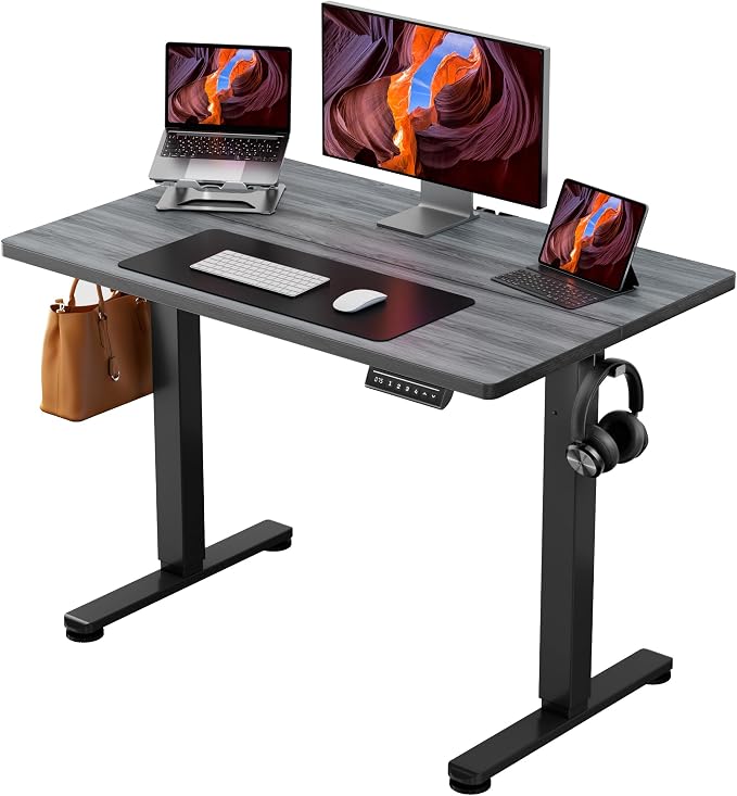 ErGear Height Adjustable Electric Standing Desk, 44 x 24 Inches Sit Stand up Desk, Memory Computer Home Office Desk, Grey by ErGear