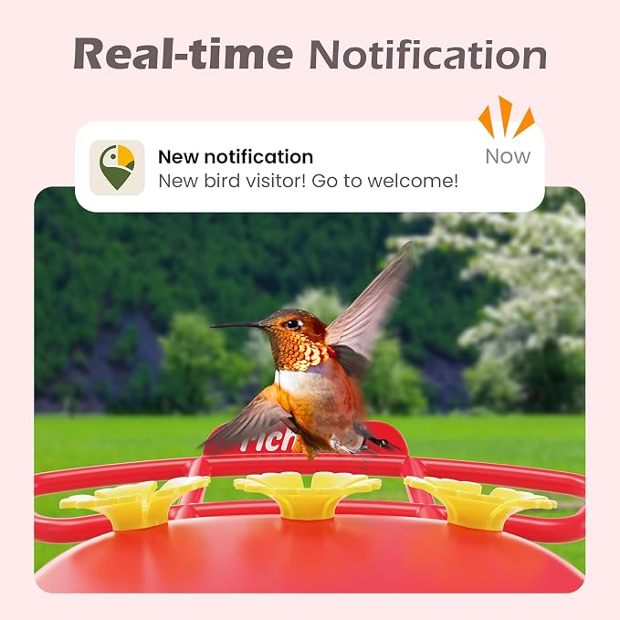 Smart Hummingbird Feeder with Camera Solar Powered, AI Identify, Instant Notification, Leakproof & Ant Moat Bird Feeder with Camera, Hummingbird Feeders for Outdoors, Gift for Bird Lovers (20 oz) - Image 3