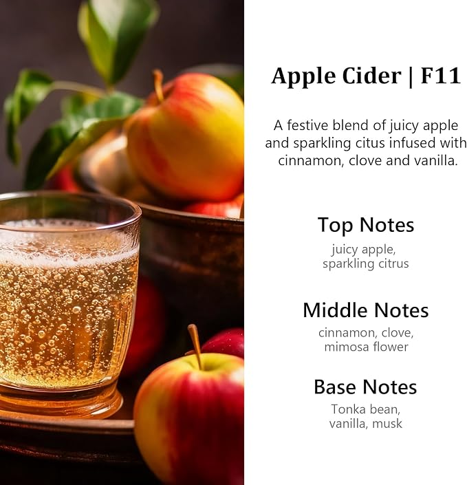 HoogaLife Car Air Freshener Diffuser 2 Pack Hanging Air Freshener Diffuser - Apple Cider Fragrance Oil Air D iffuser for Car, 45+ days Long Lasting Fragrance Made in USA （F11） - Image 2