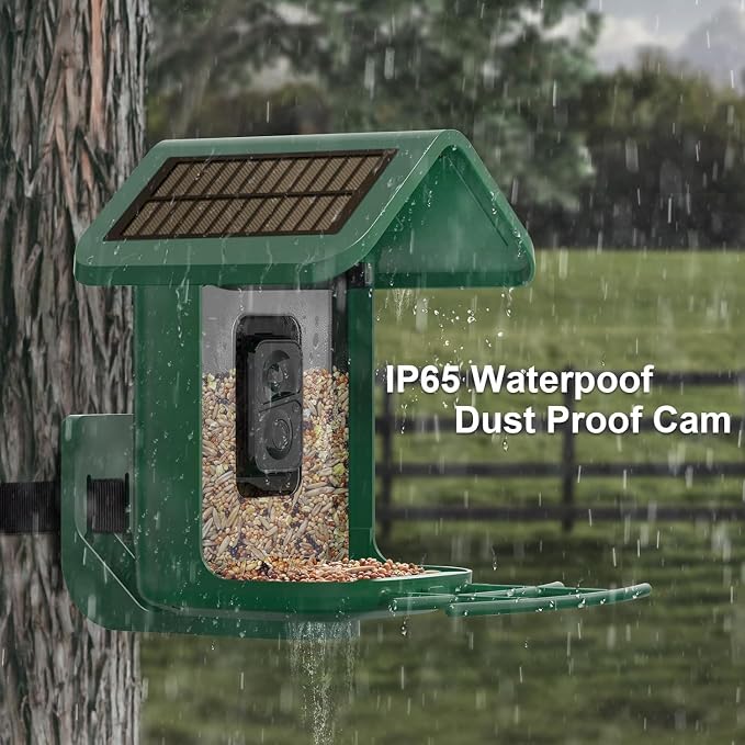 Bird Feeder with Camera Solar Powered : Smart Camera Bird Feeder 2K Live Feed Cam for Backyard - AI Identify Auto Capture Videos Pictures, Gifts for Birdlover Mom Dad, 2.4GHz WiFi - Image 4