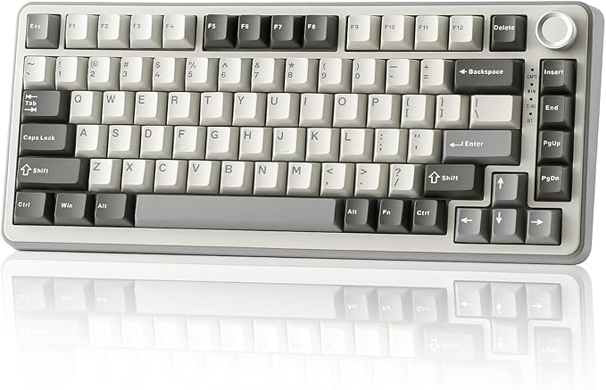 YUNZII B75 PRO 75% Wireless Mechanical Keyboard (Grey,Milk Switch) | Hot Swap Keyboard with Knob, Gasket Mount, Creamy Pre-lubed Switch for Smooth Typing, BT/USB-C/2.4G, for Gaming by YUNZIIMECHANICALKEYBOARD