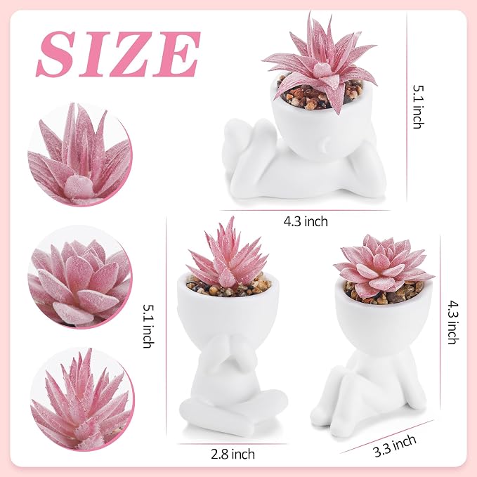 Der Rose 3 Pcs Fake Succulents Plants Artificial Pink Room Office Desk Decor for Women - Image 3