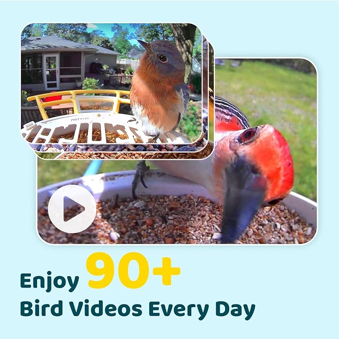 NETVUE by Birdfy AI Smart Bird Feeder with Camera, AI Auto Capture Each Bird Visit & Identify 6000+ Species, Cloud Store & Live Birdwatching, Ideal Gift (Yellow) - Image 3
