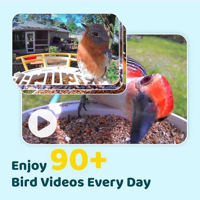 NETVUE by Birdfy Smart Bird Feeder with Camera – AI Identifies Birds Species 2MP Night Vision & App Alerts, 2.4Ghz Wi-Fi Connect IP65 Weatherproof Bird Camera-Gift for Backyard BirdWatchers, Yellow - Image 3