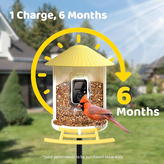NETVUE by Birdfy AI Smart Bird Feeder with Camera, AI Auto Capture Each Bird Visit & Identify 6000+ Species, Cloud Store & Live Birdwatching, Ideal Gift (Yellow) - Image 7