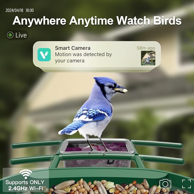 Bird Feeder with Camera Solar Powered : Smart Camera Bird Feeder 2K Live Feed Cam for Outdoor Backyard - Ai Identify Auto Capture Videos Pictures, Gifts for Birdlover Mom Dad, 2.4GHz WiFi - Image 2