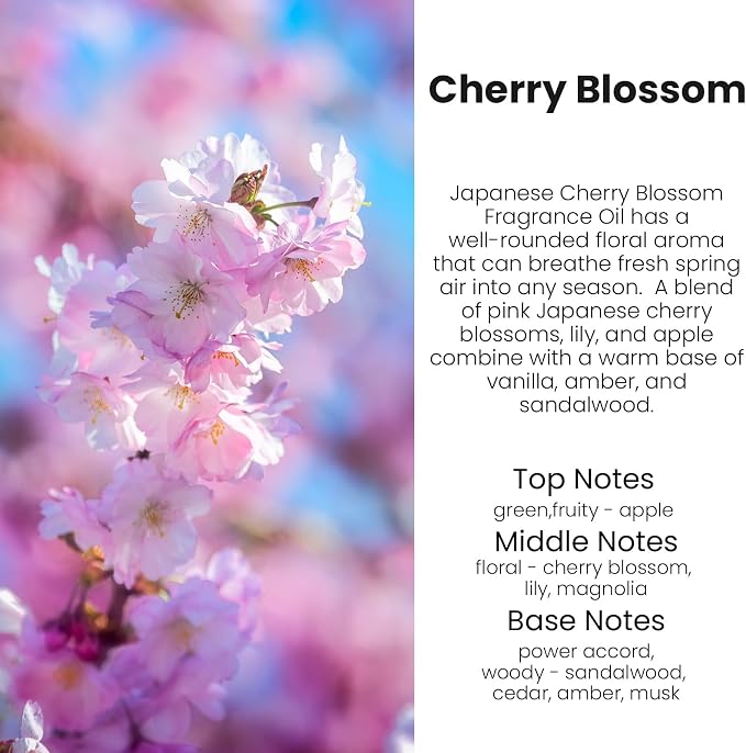 HoogaLife Car Air Freshener Diffuser 2 Pack Hanging Cherry Bloom Car Air Freshener for Women 45+ days Long Lasting Fragrance Made in USA (C12) - Image 2